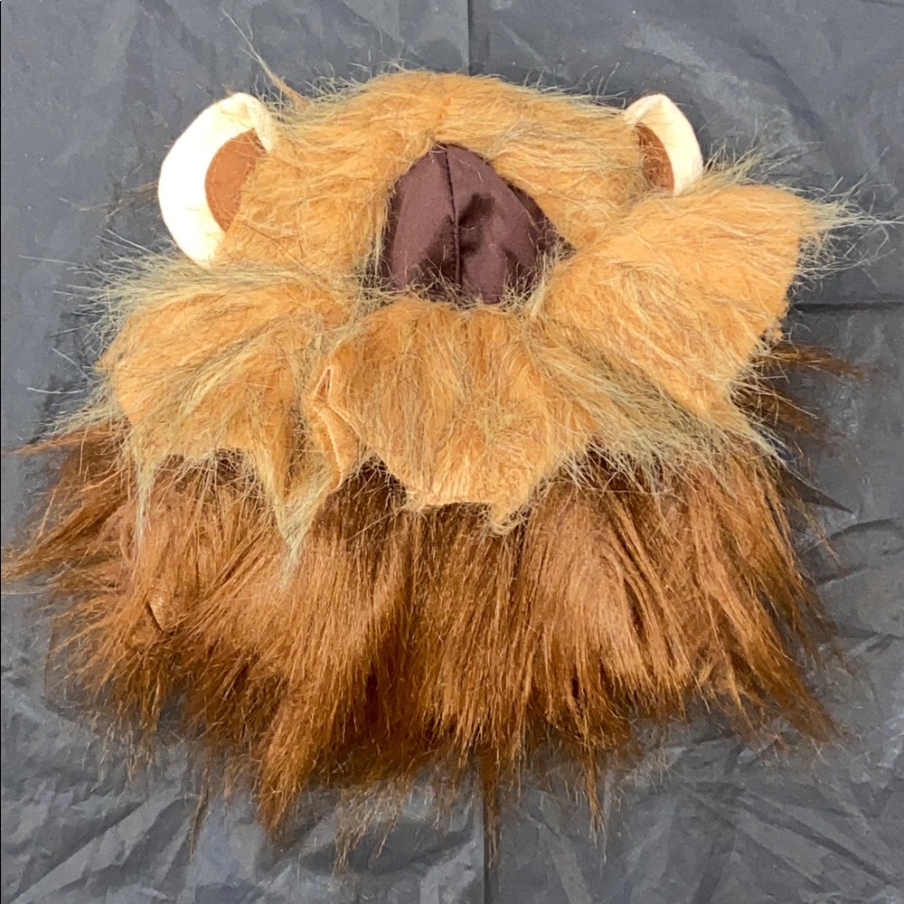 King of the Jungle Lion Halloween Costume for Dogs in Size Small